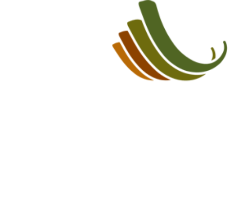 Cabañas Carén